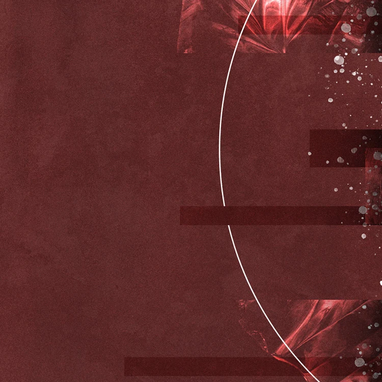 The Witness of Matthew by R.C. Sproul