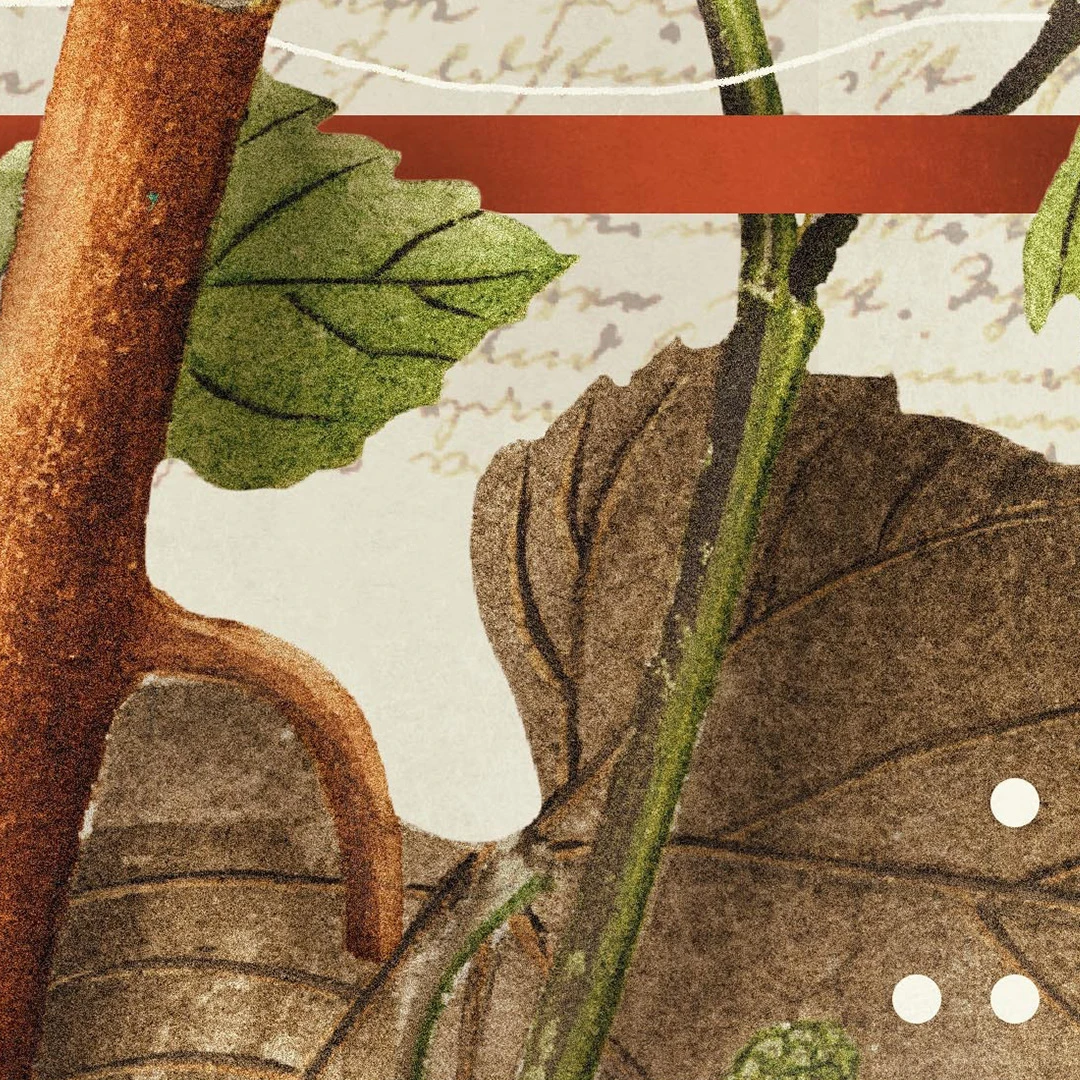 What Is the Canon of Scripture?