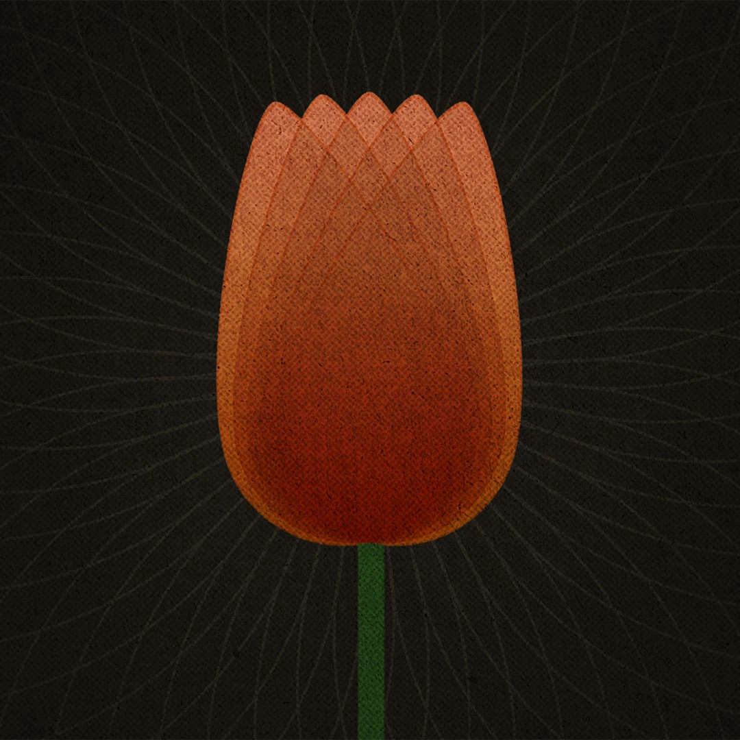 TULIP and Reformed Theology: Total Depravity