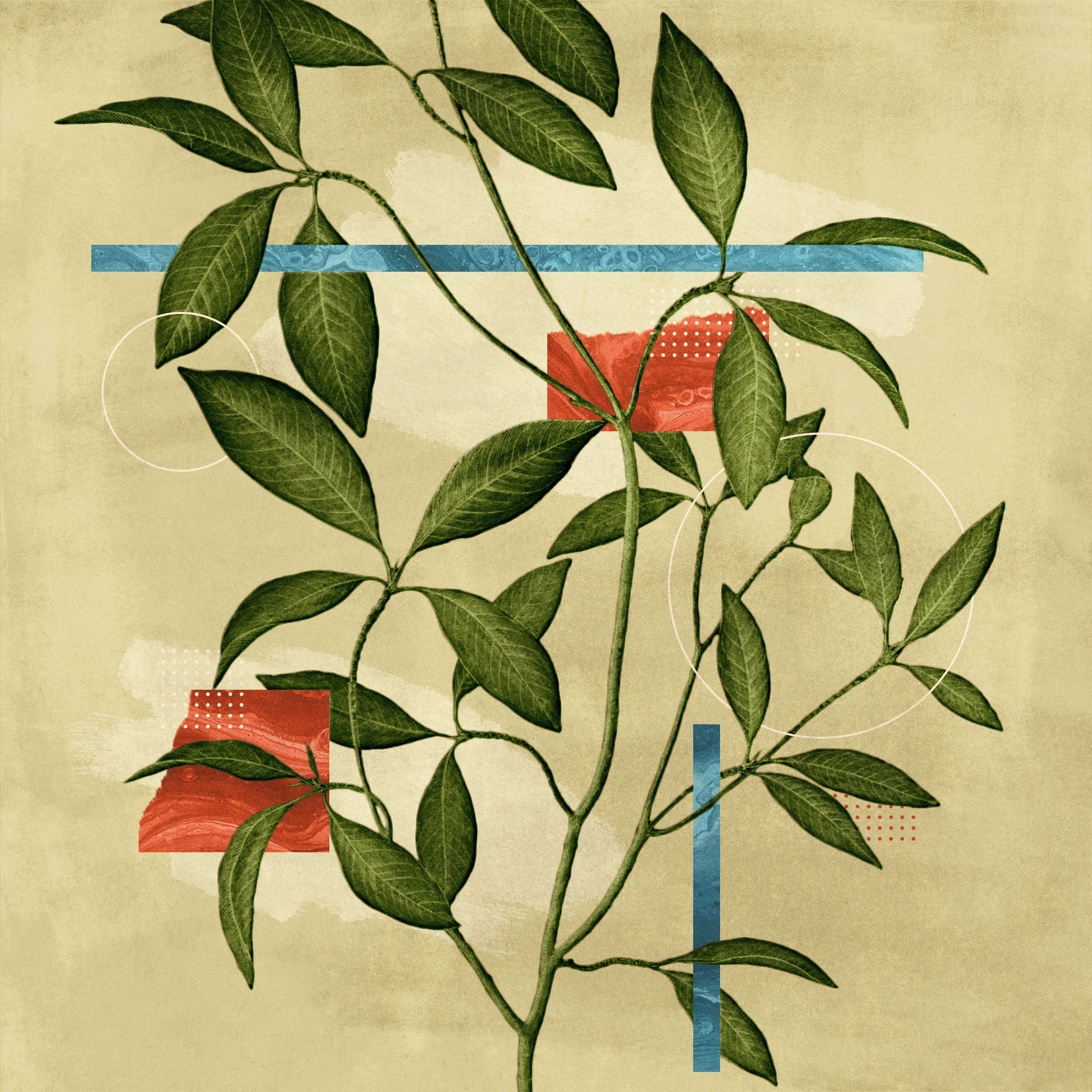 5 Recommended Resources on Covenant Theology