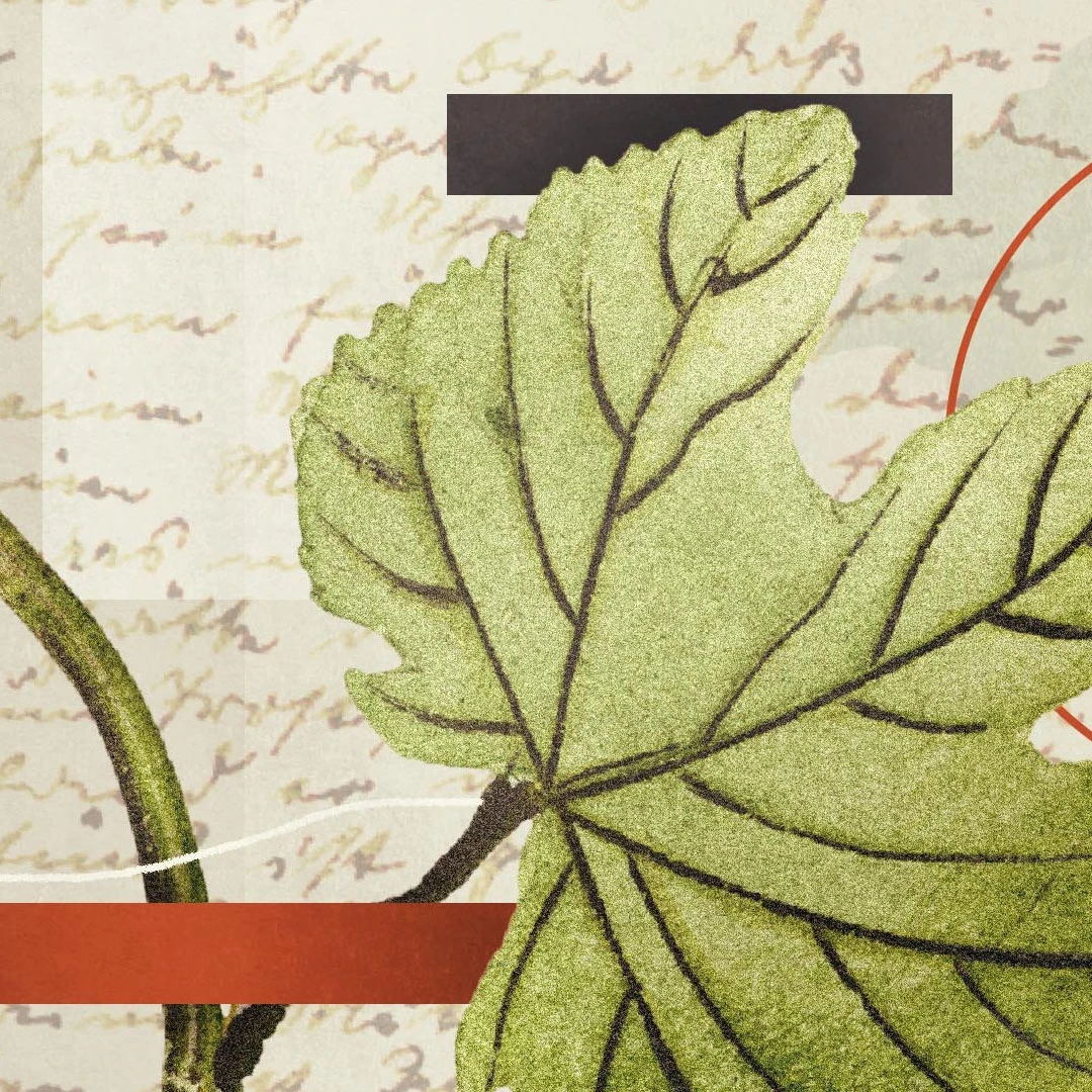 How Should We Remember? by David Mathis