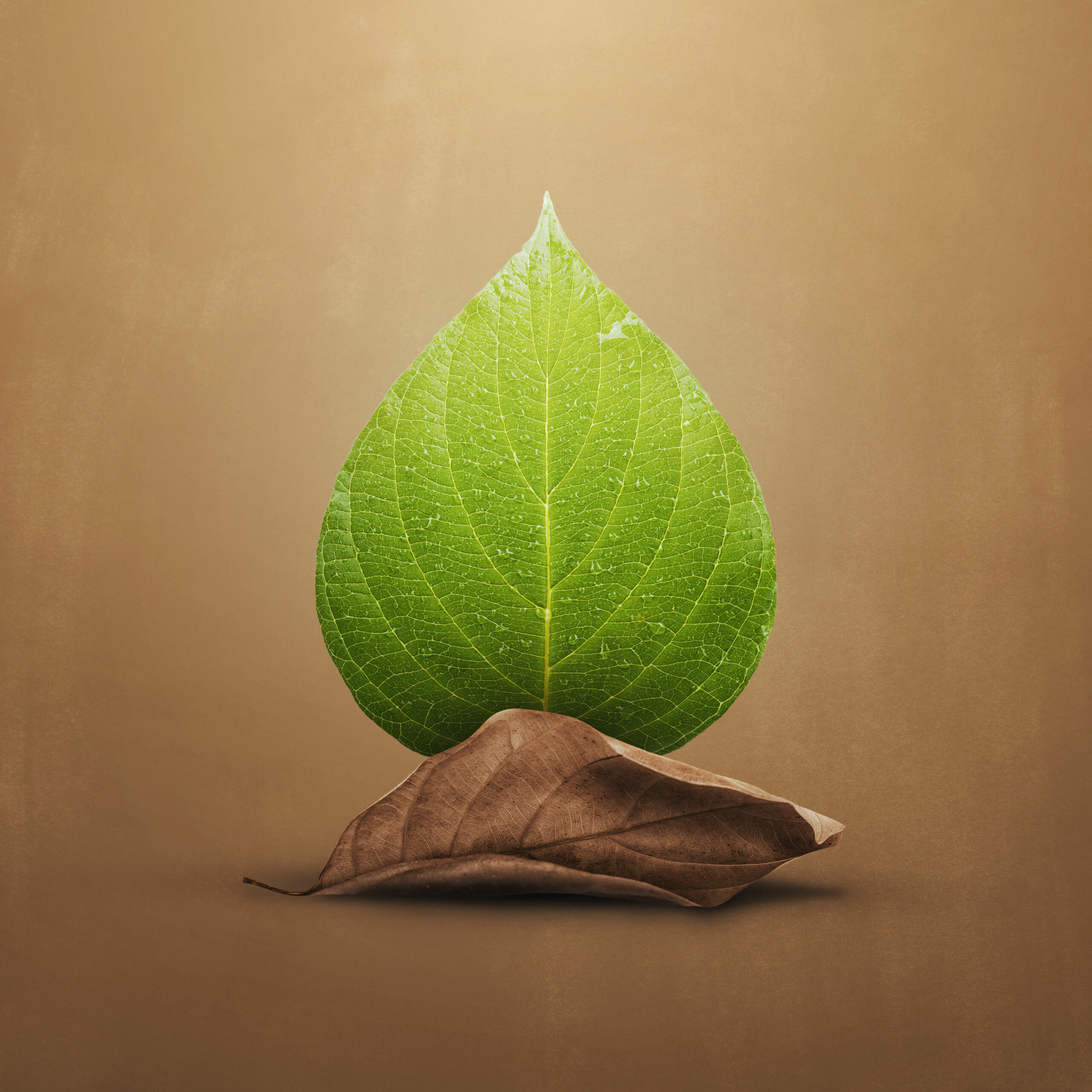 When Seasons Remind Us of Loss