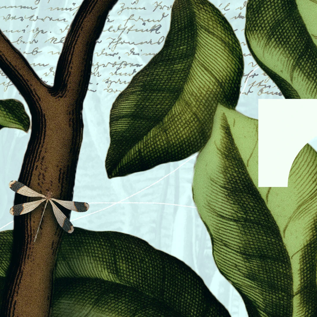 Children Are Not Looking for Perfect Parents by Joel Beeke