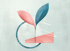 5 Recommended Resources on Marriage