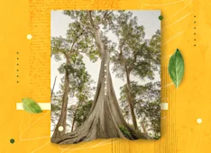 What Does the Ligonier Logo Mean?