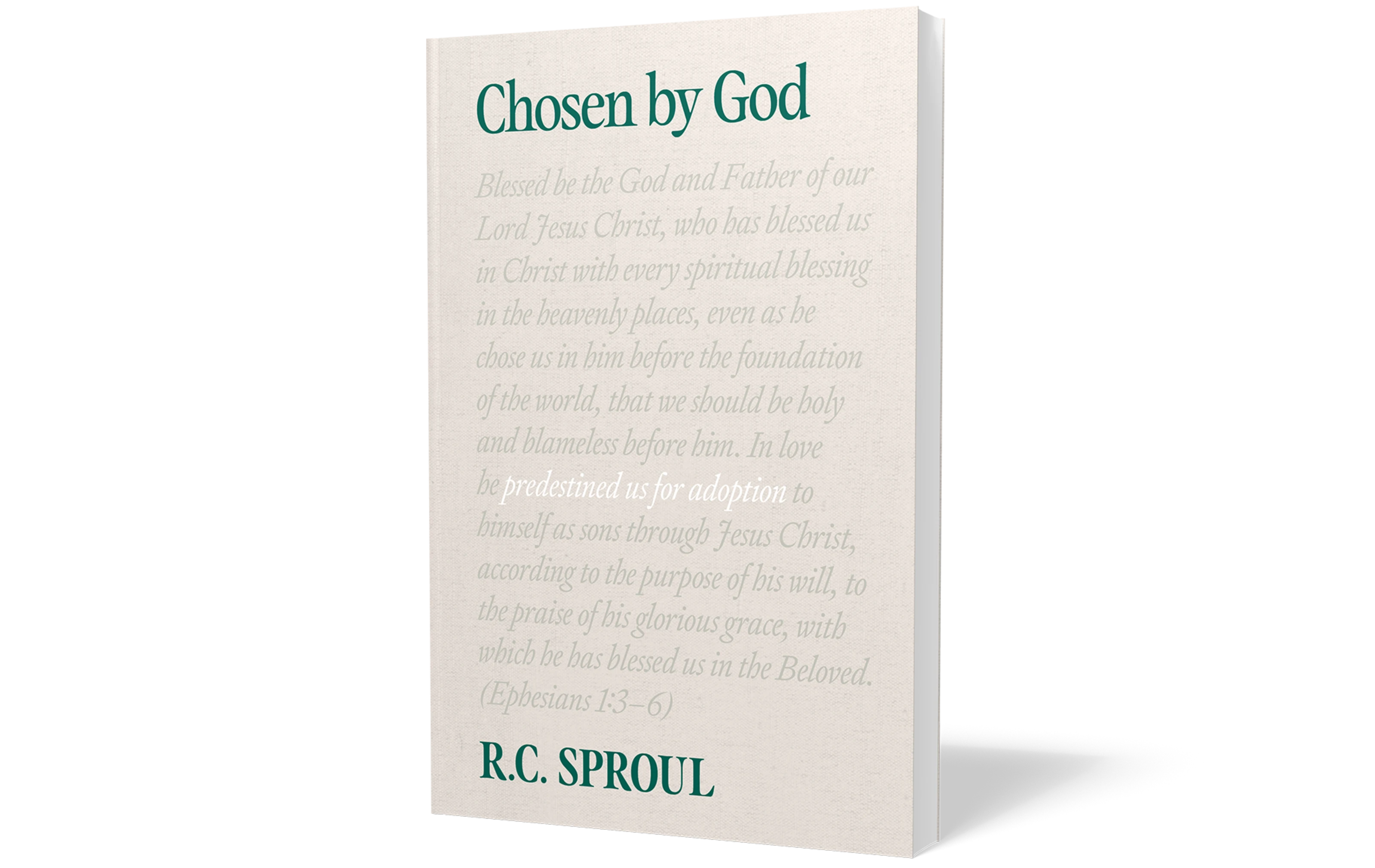 What Does 2 Timothy 4 7 Mean what-does-2-timothy-4-7-mean