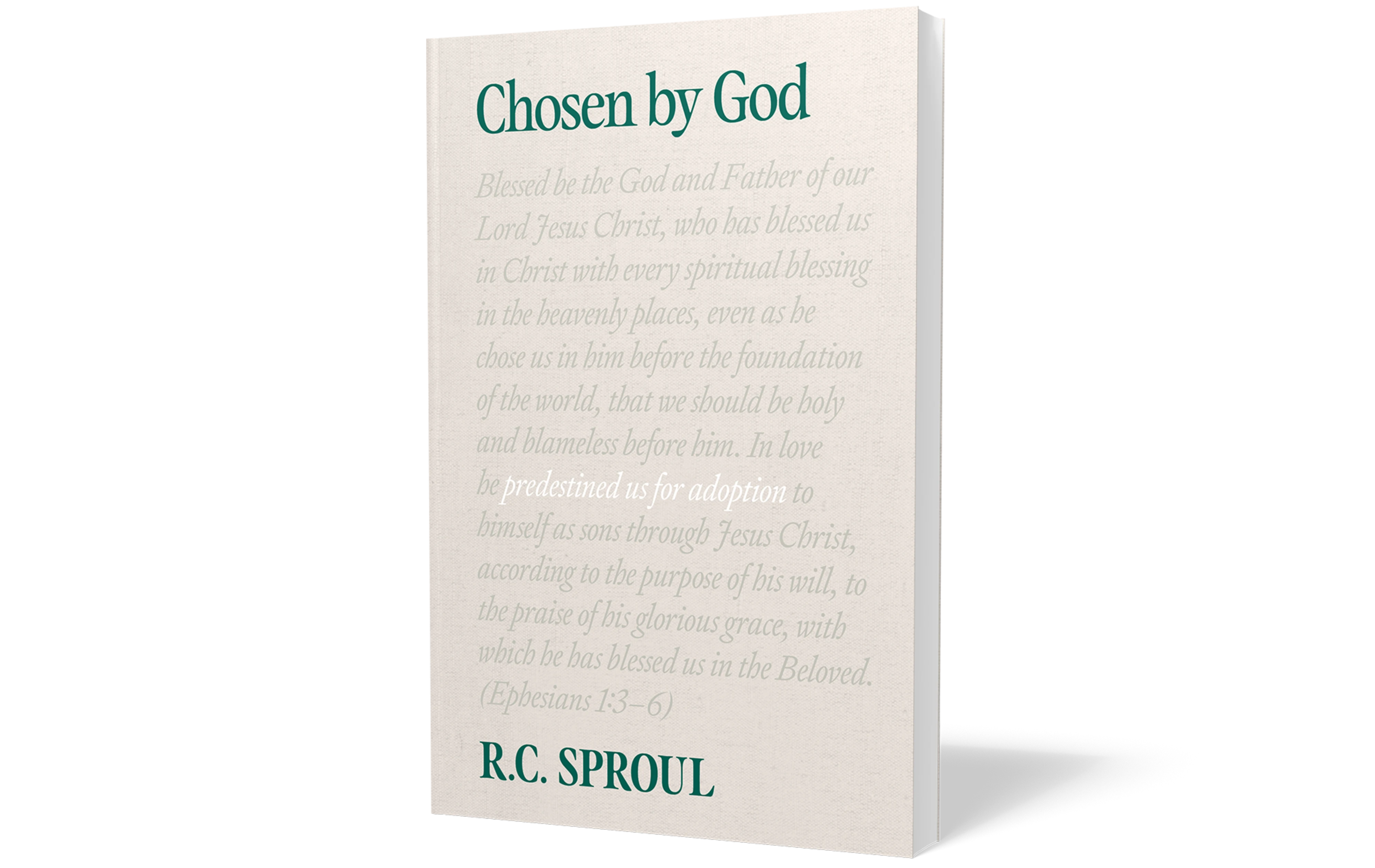 God's Image What Does It Mean to Be Made in God’s Image?
