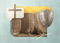 3 Things You Should Know about 1 & 2 Timothy