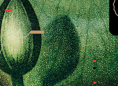 What Does the Bible Say about Christian Tithing?