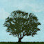 List Logo