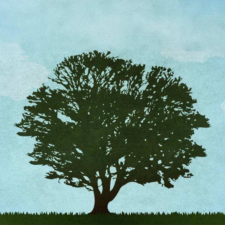 4 Goals to Pursue in Parenting by William Boekestein