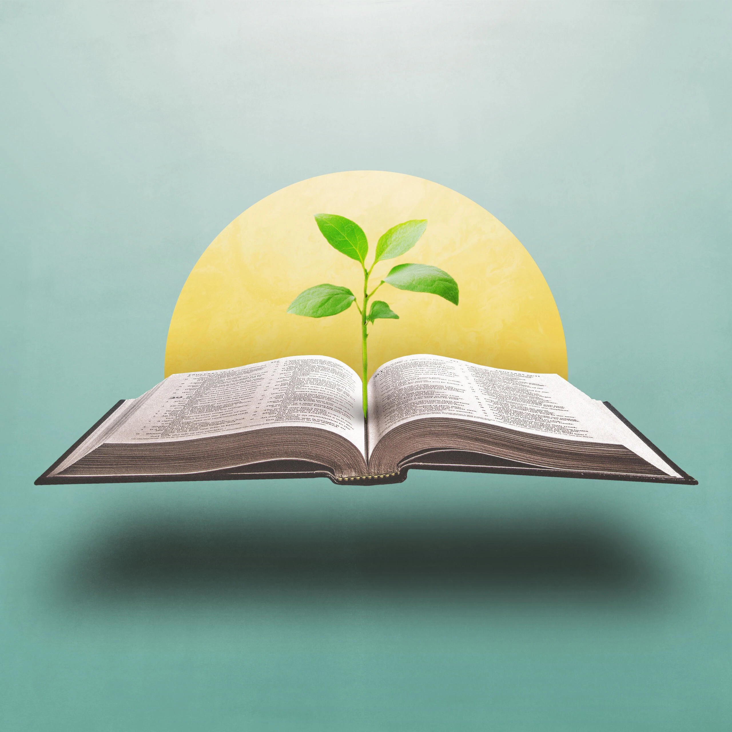 Covenant Theology for Kids: A Beginner’s Guide