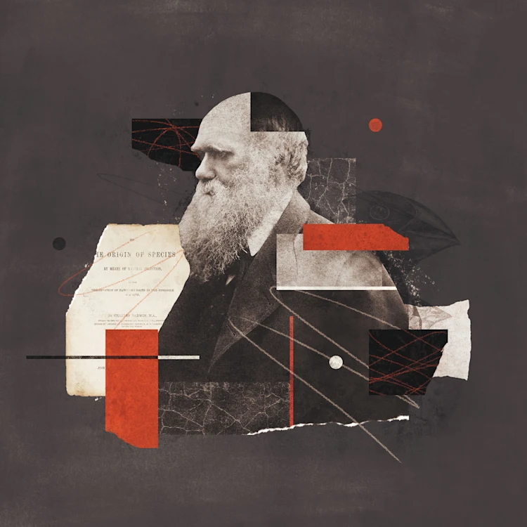Theistic Evolution and Creationism