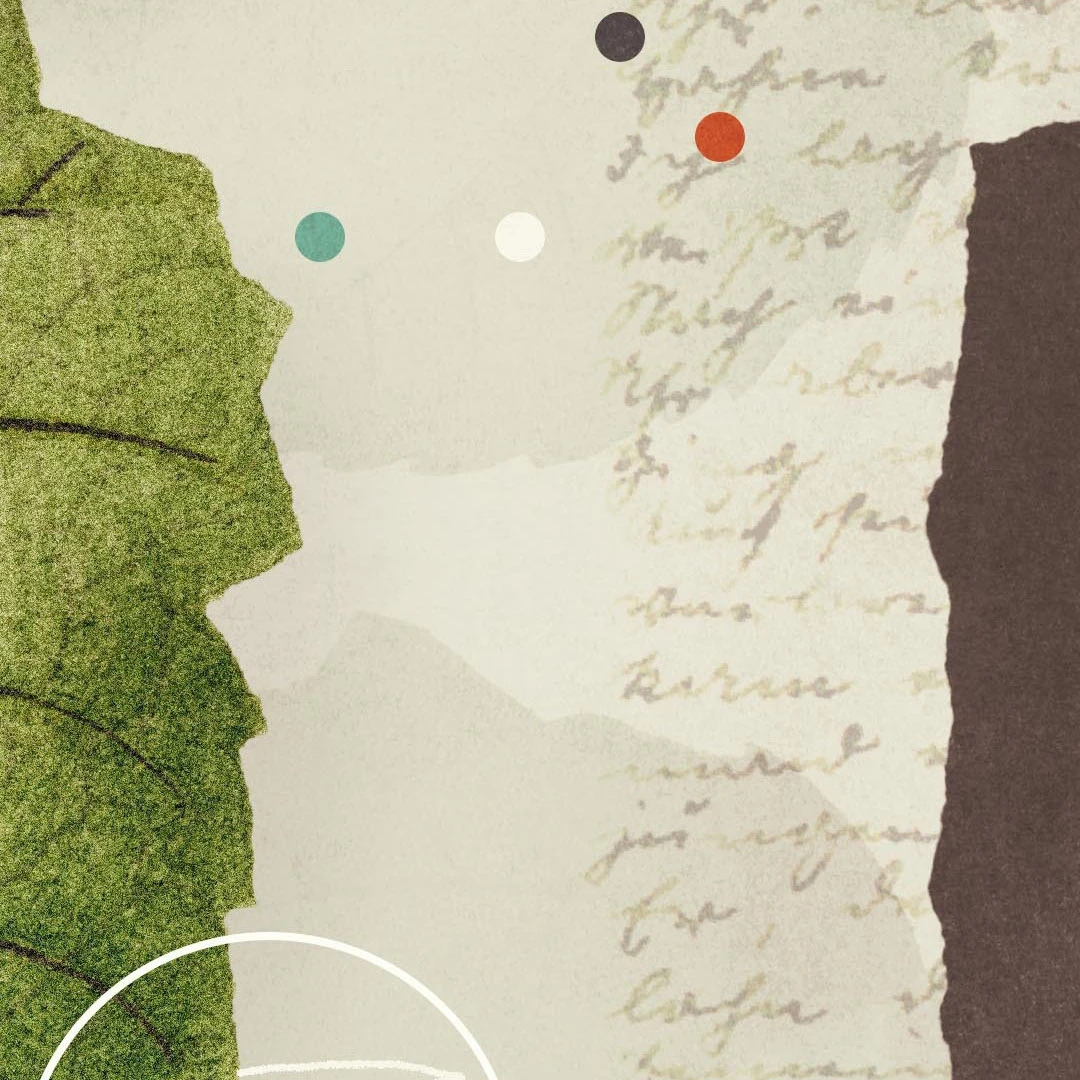 5 Things You Should Know About The Doctrine Of The