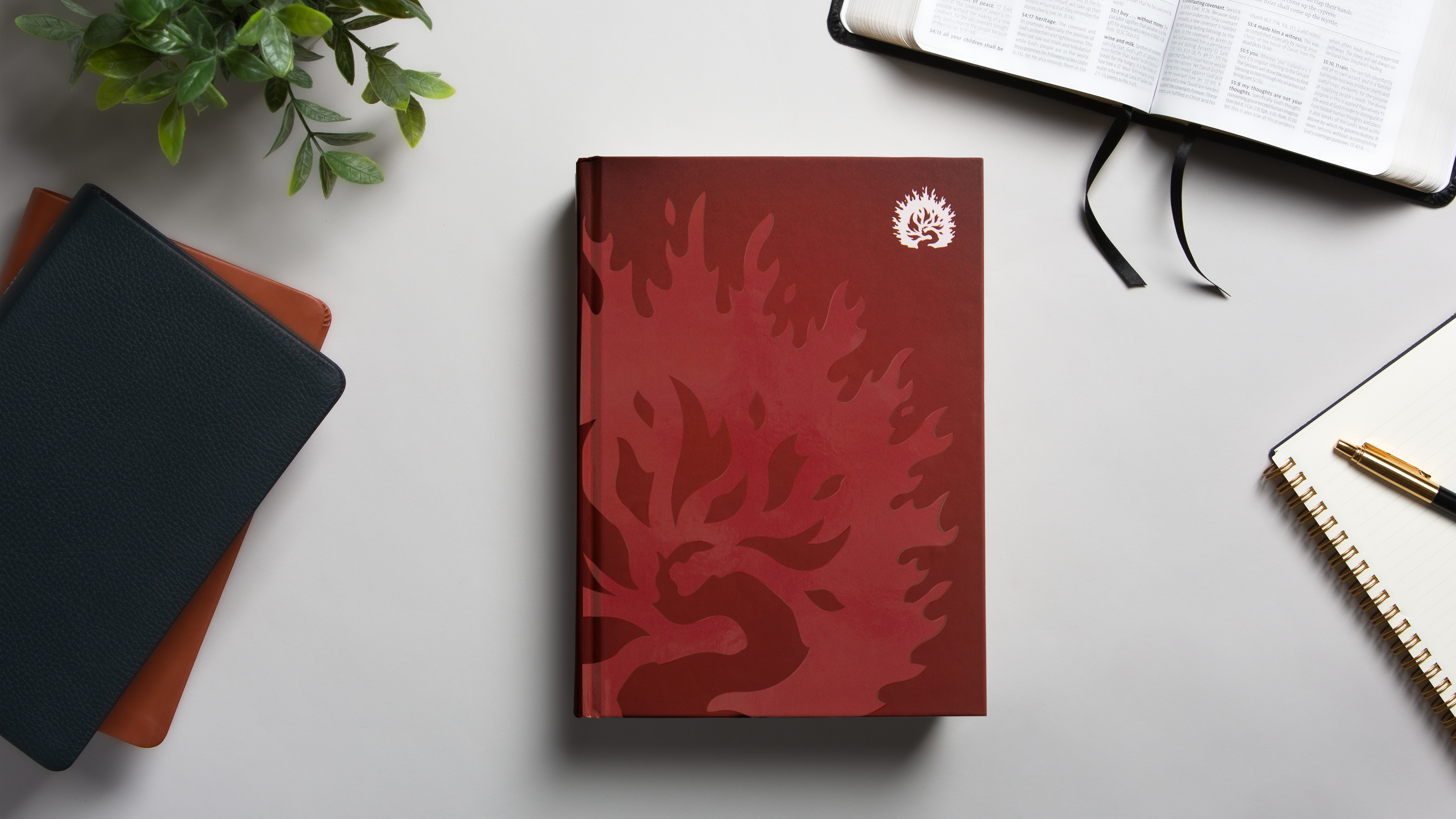 Bibles | Ligonier Ministries