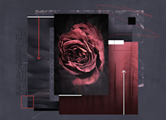 5 Recommended Resources on Death and Dying