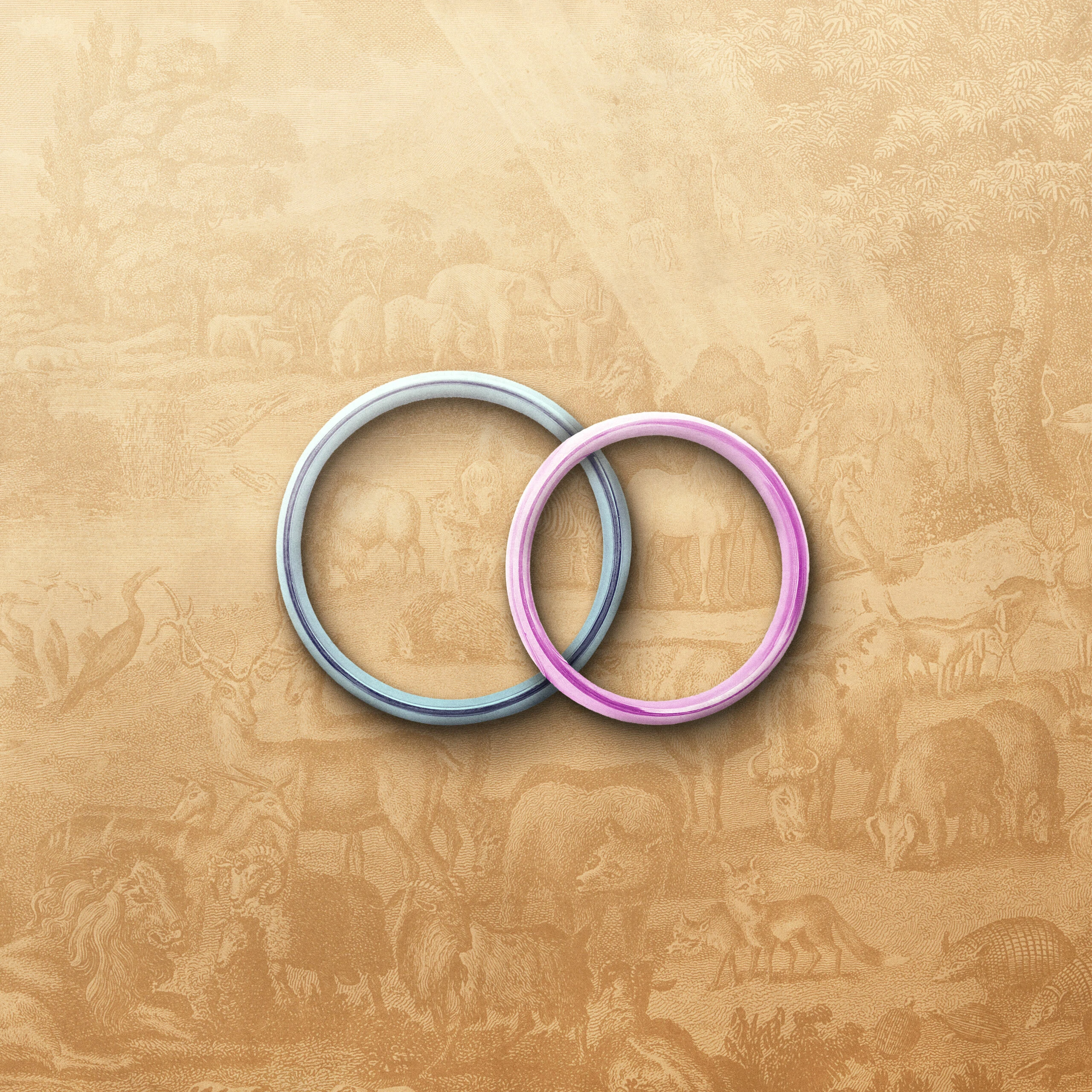 What Does the Bible Teach About Sexuality?