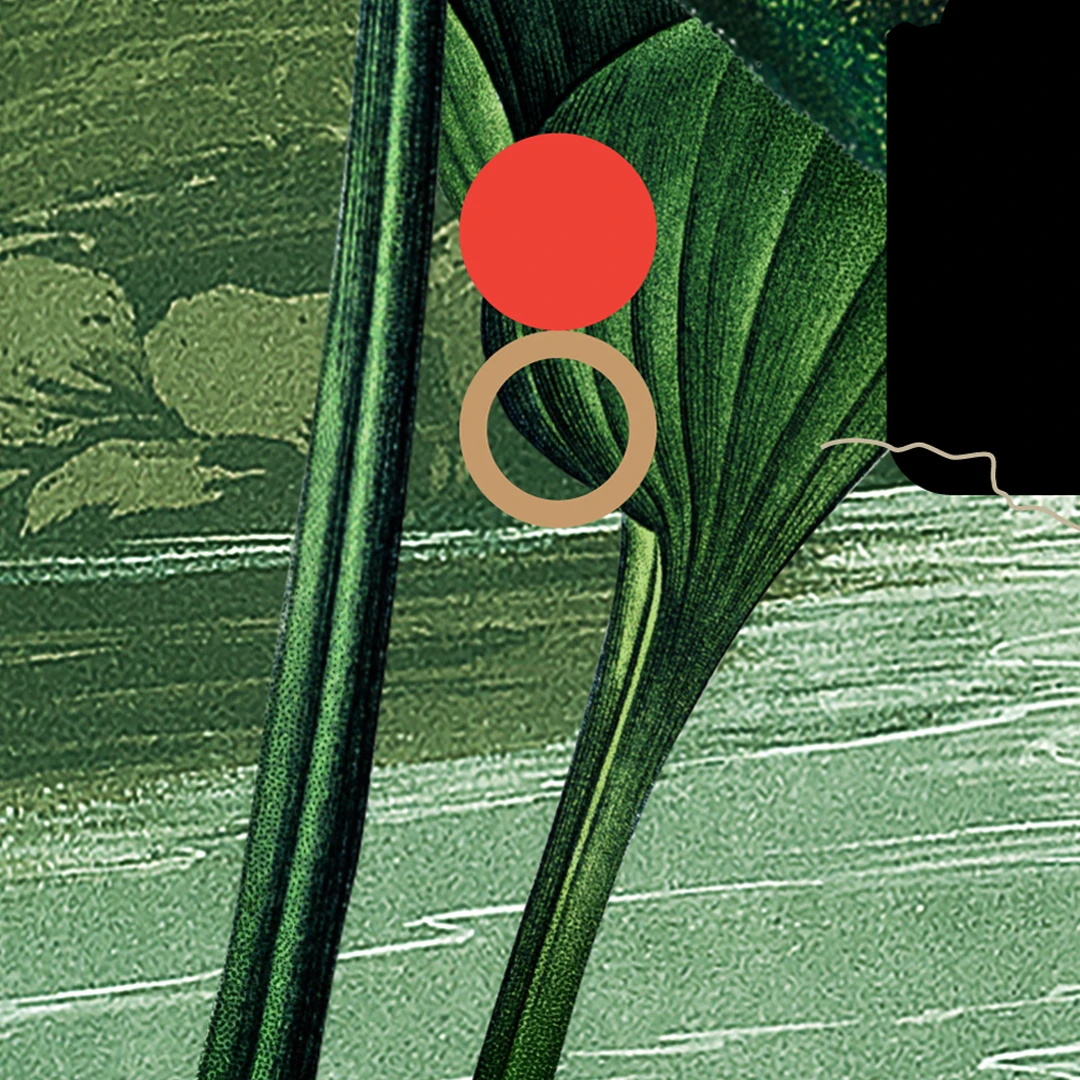 A Rose Is a Rose by R.C. Sproul