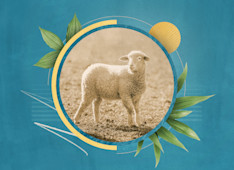 What Does John 10:10 Mean?