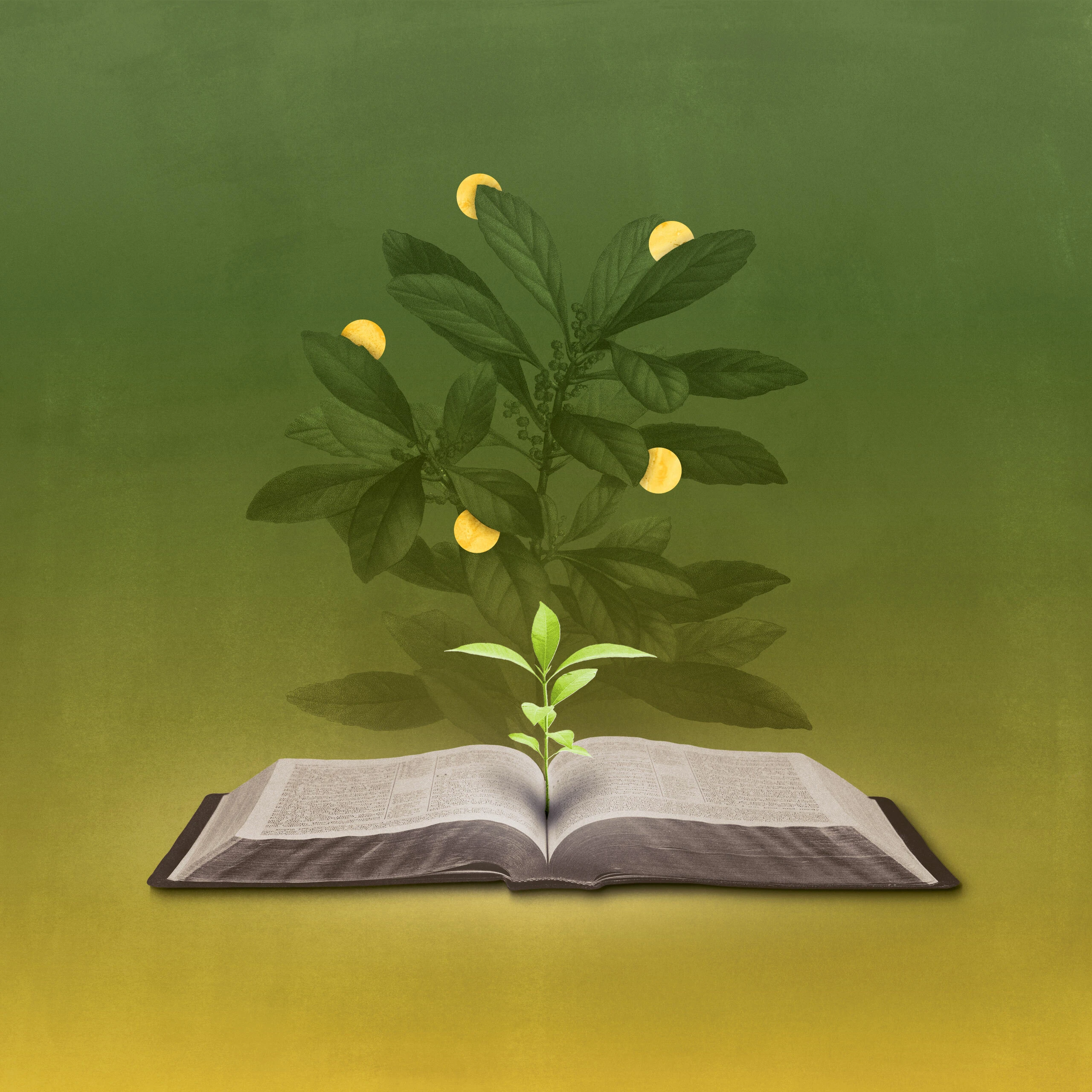 5 Recommended Resources for New Christians