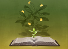 5 Recommended Resources for New Christians