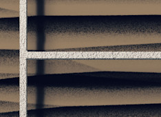 The Role of Experience