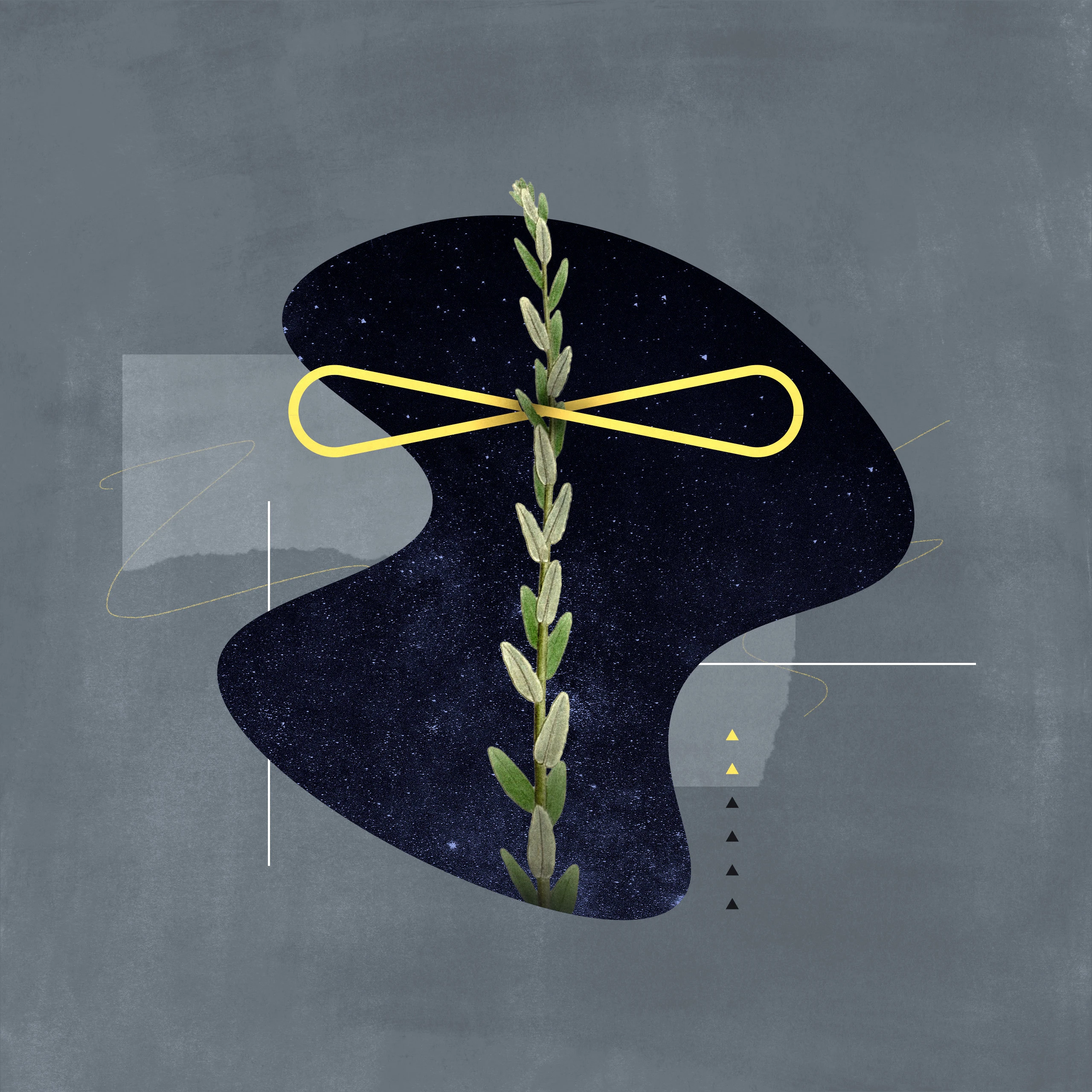 What Is the Perseverance of the Saints?