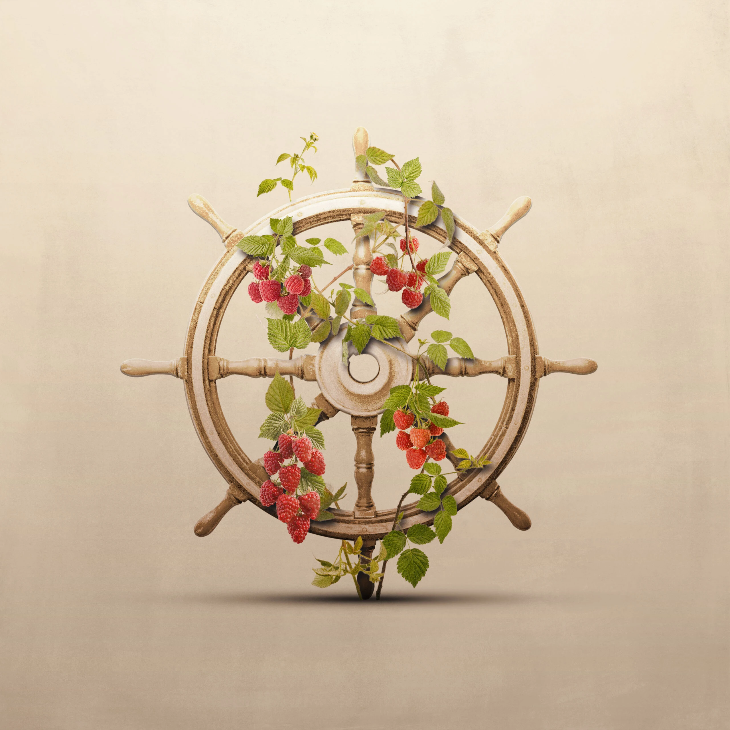 What Is the Fruit of Self-Control? 