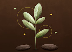 How Should I Engage My Rebellious Child?