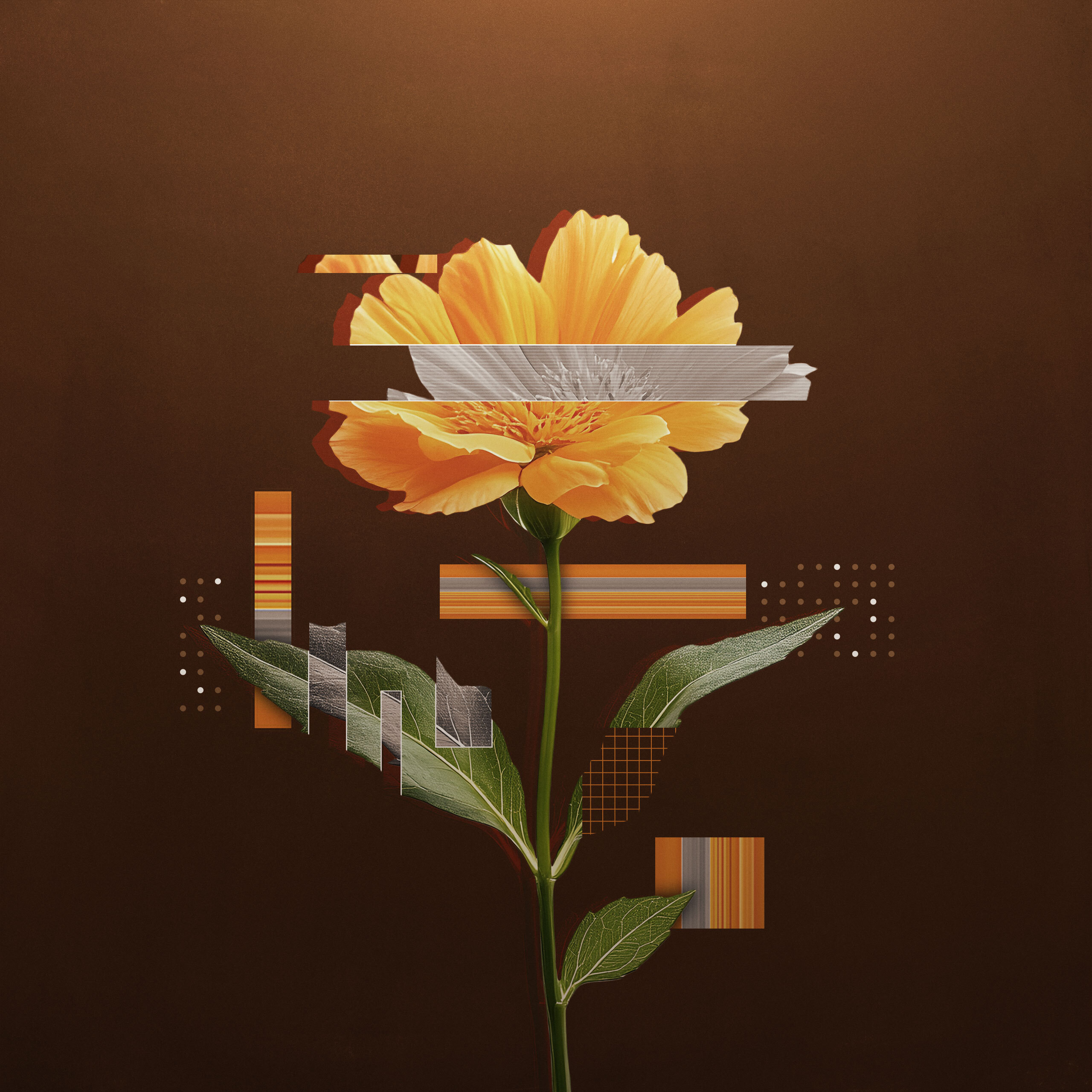 Discipleship in a Sexualized Culture