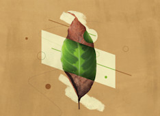 What Is Irresistible Grace?