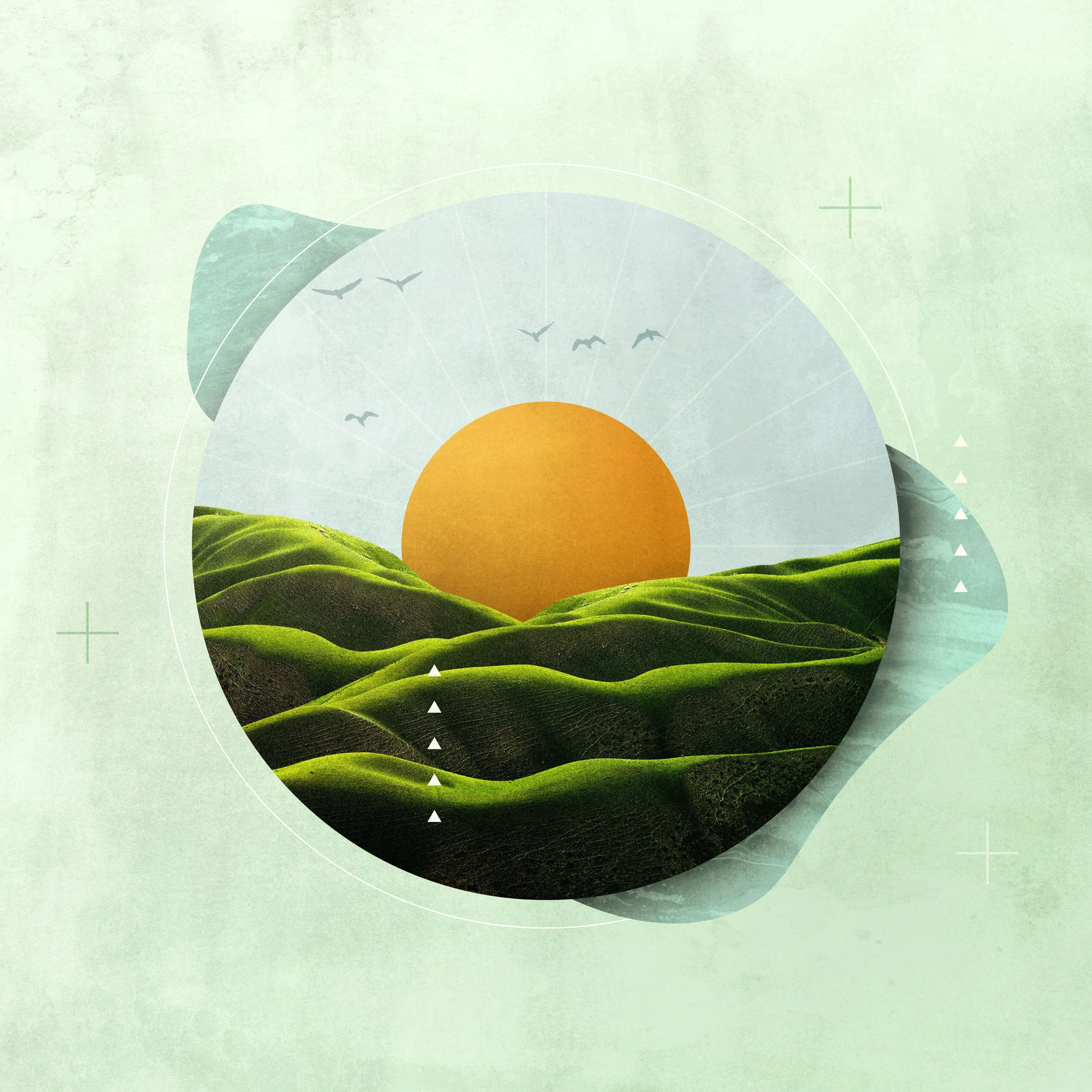 5 Recommended Resources on Contentment and Gratitude