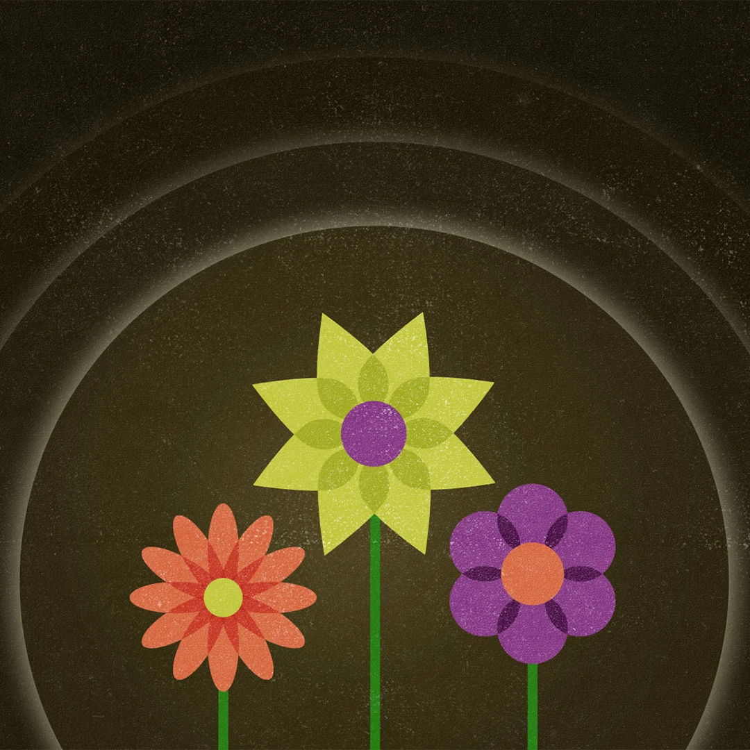 Surprising Bouquets of Grace by Erik Raymond