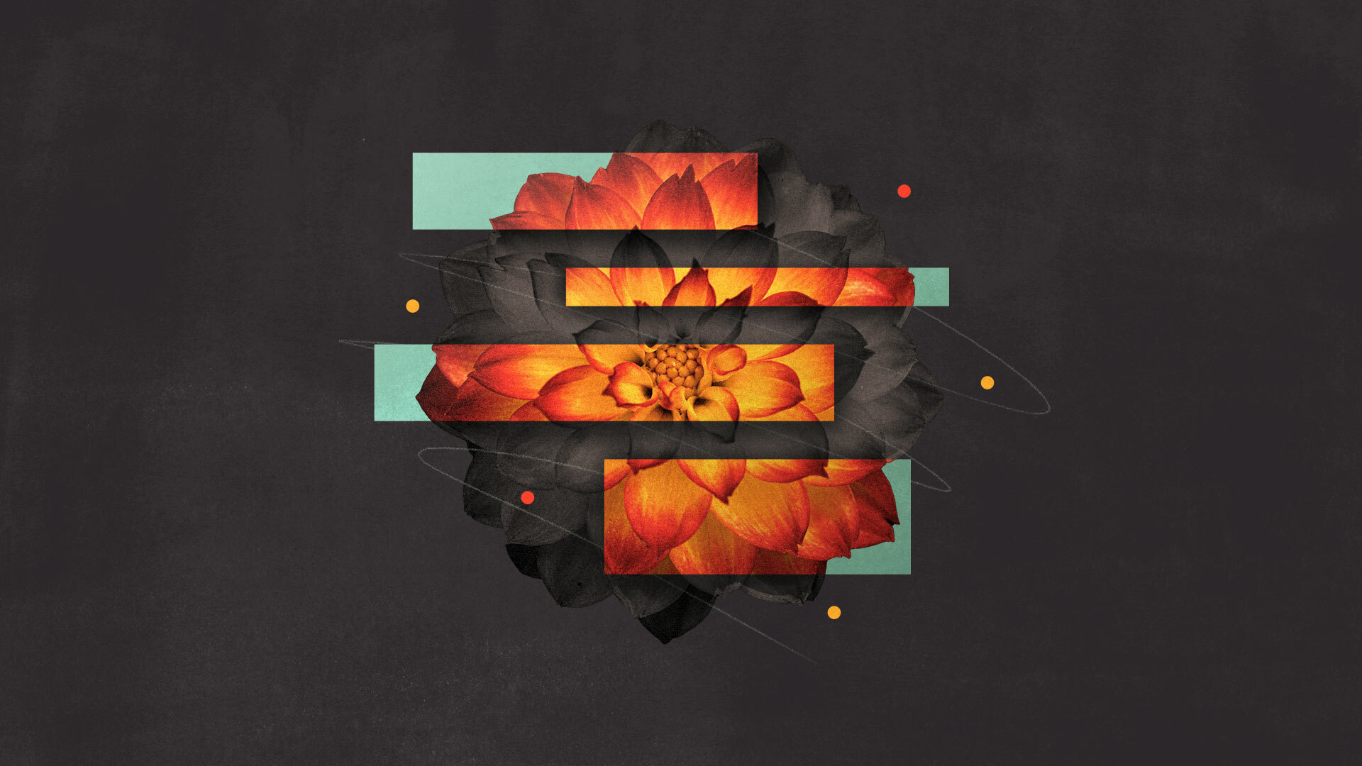 3 Things to Know about Malachi