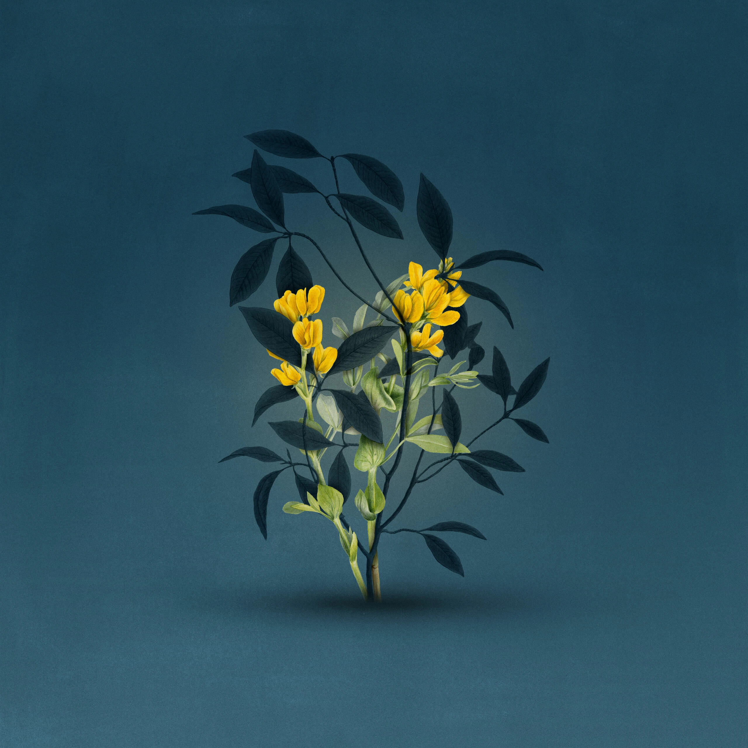 How to Support the Caregivers in Your Church