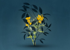 How to Support the Caregivers in Your Church