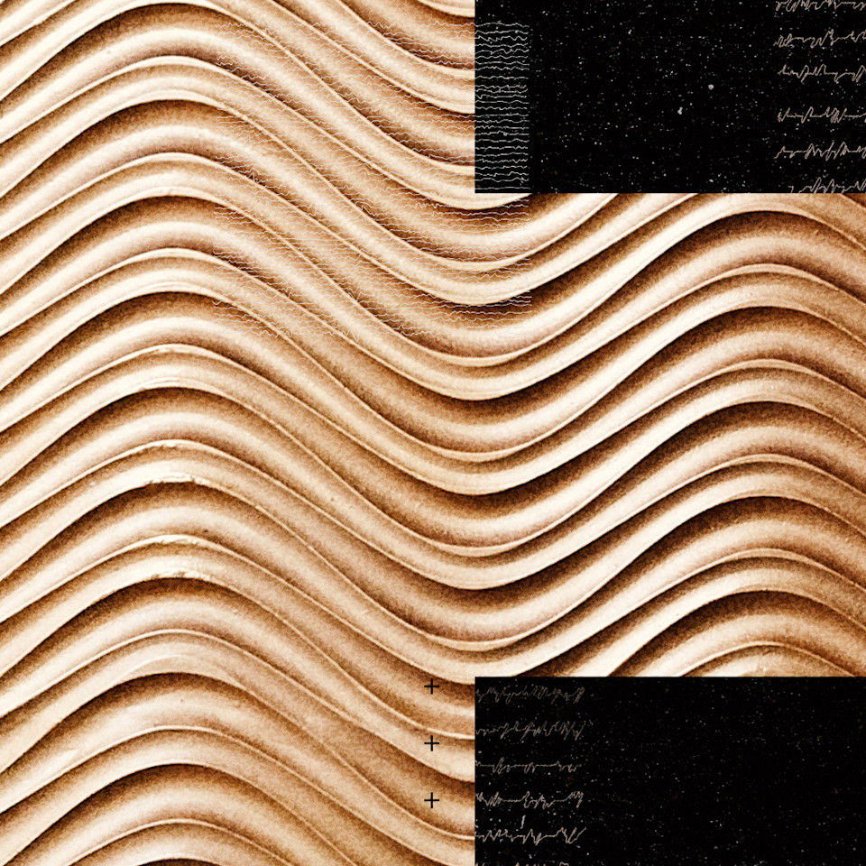 WHAT WE DO AND HOW WE GOT HERE visual data 7