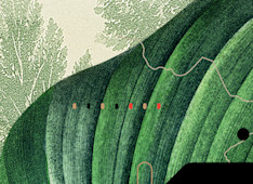 Should I Attend a Homosexual Wedding?