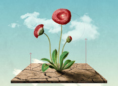 How Can God Bring Good Out of Evil?