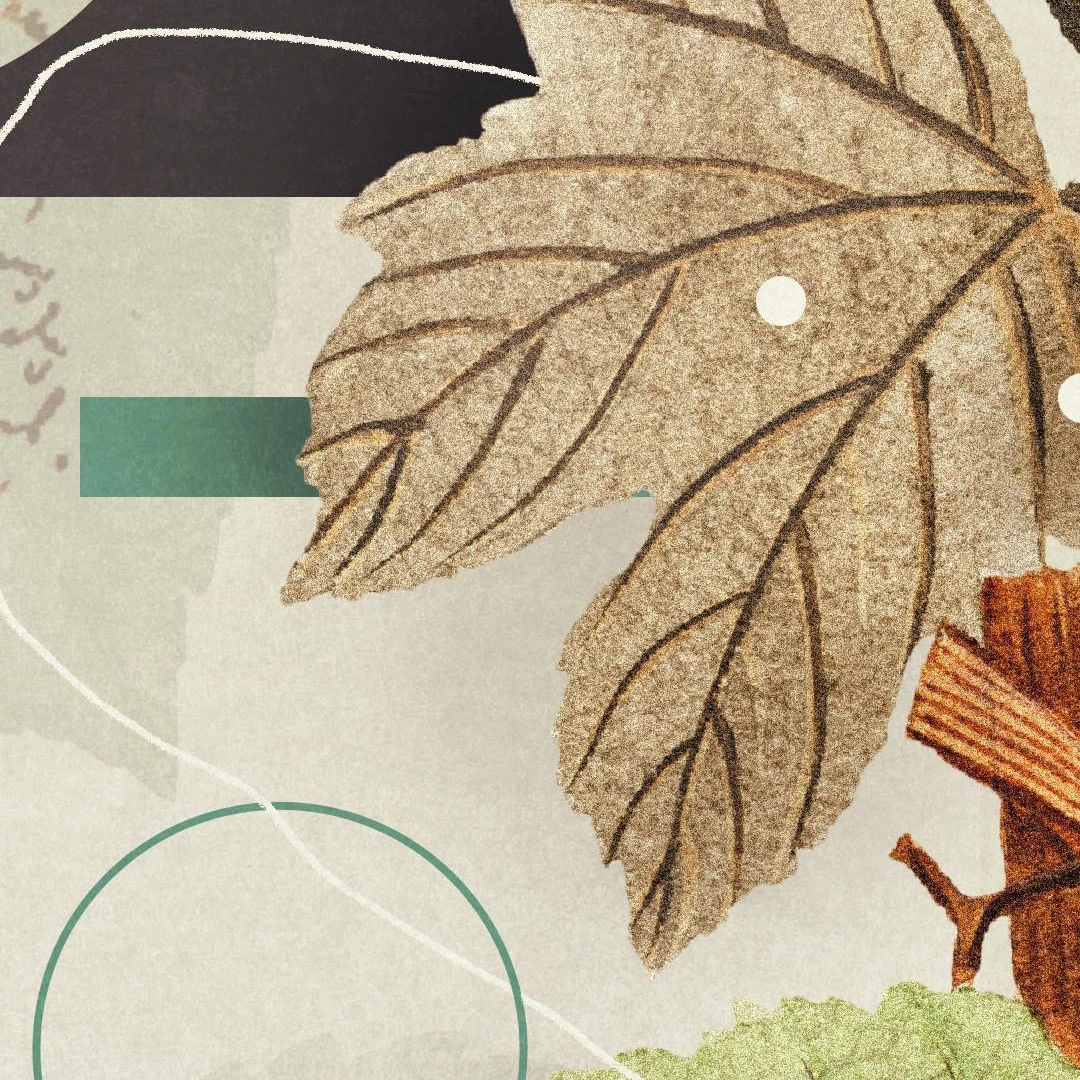 Digital Age Discipleship: Into Whose Image Are We Being Conformed?