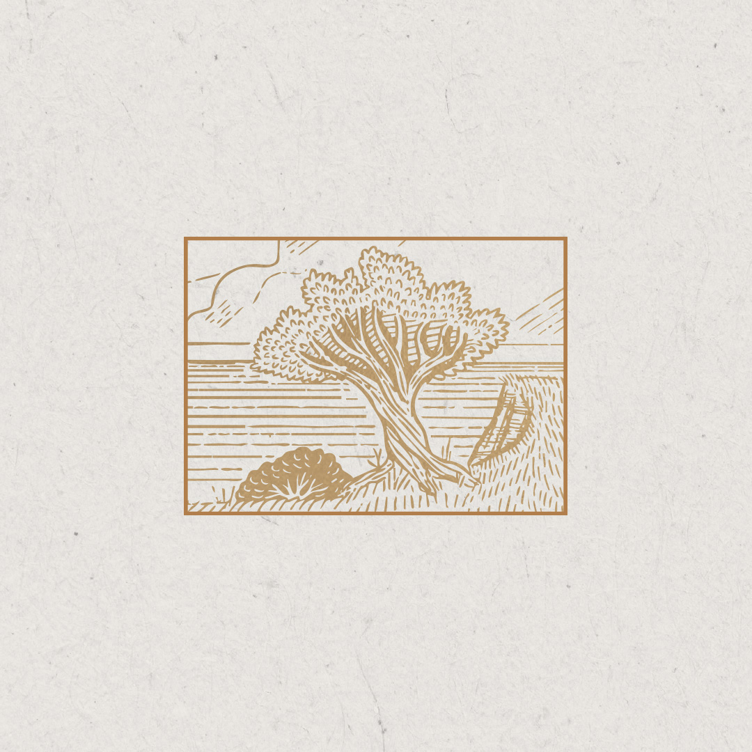 If God Is Sovereign, Why Bother to Share Your Faith?