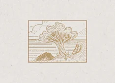 If God Is Sovereign, Why Bother to Share Your Faith?