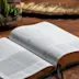 Bible Reading Plans for 2026