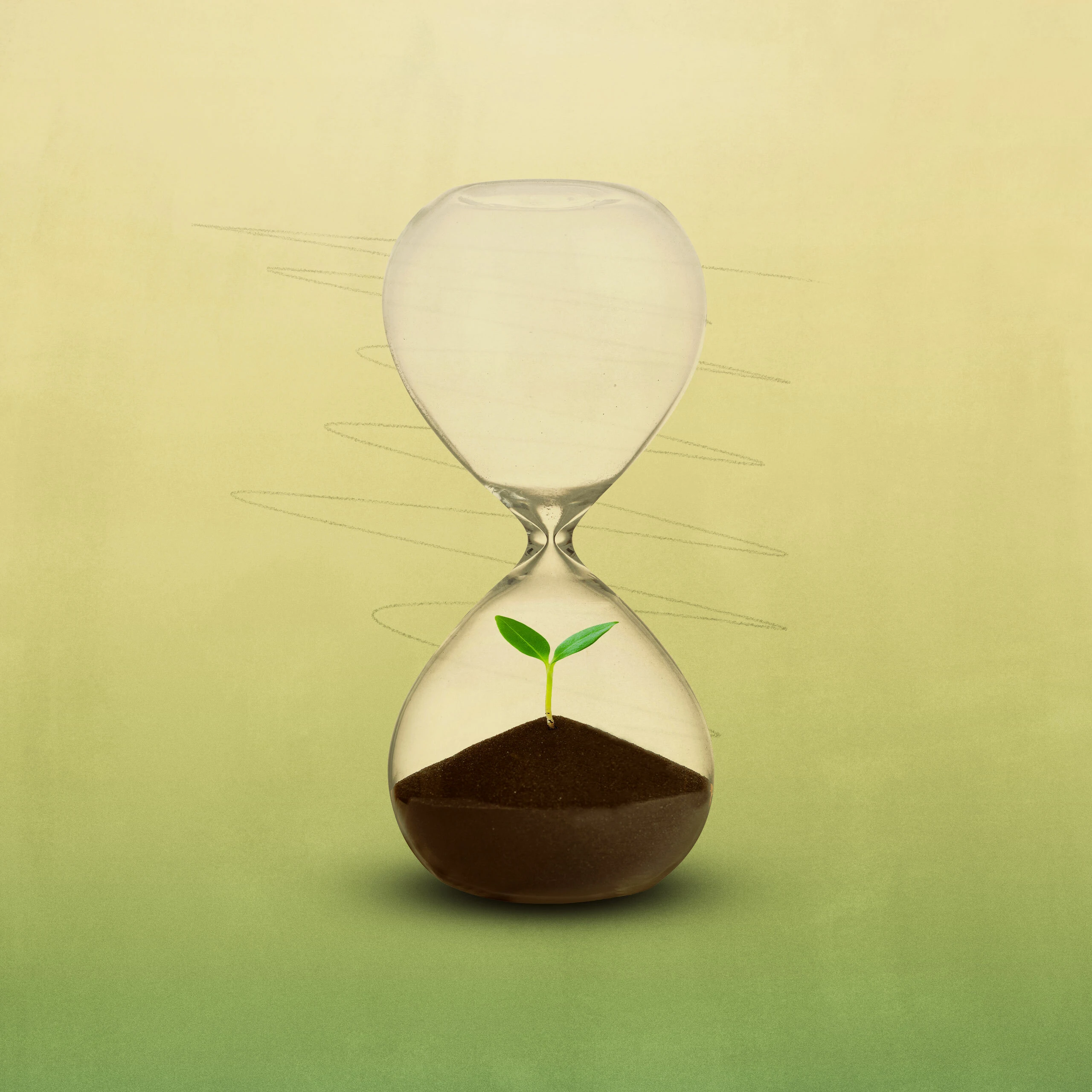 What Is the Fruit of Patience?