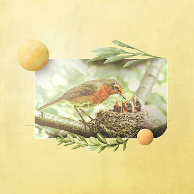 Navigating the Challenges of Motherhood with Grace