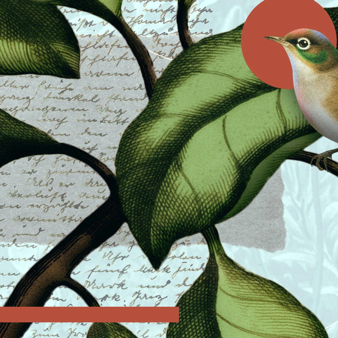 The New Birth by R.C. Sproul