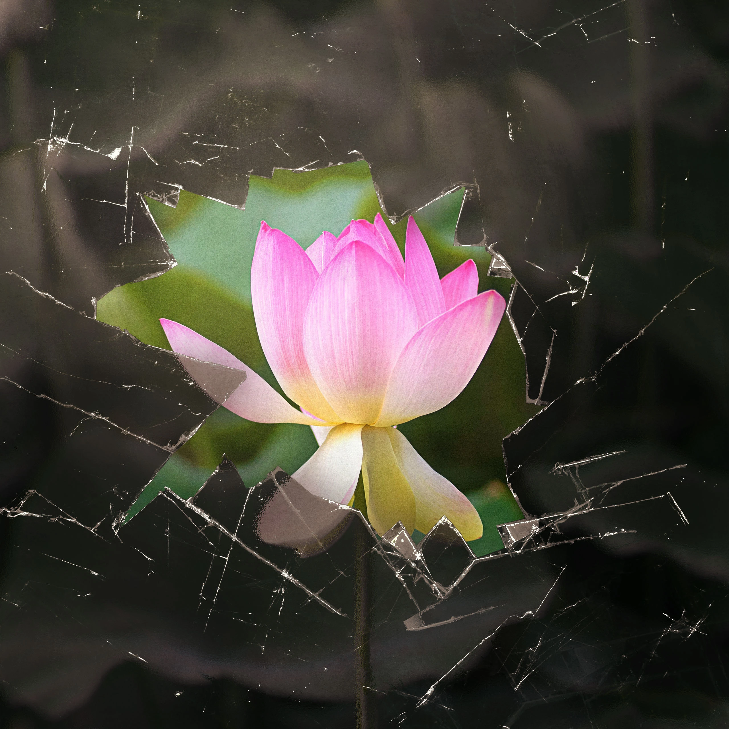 What Is Anger?
