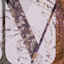 List Logo