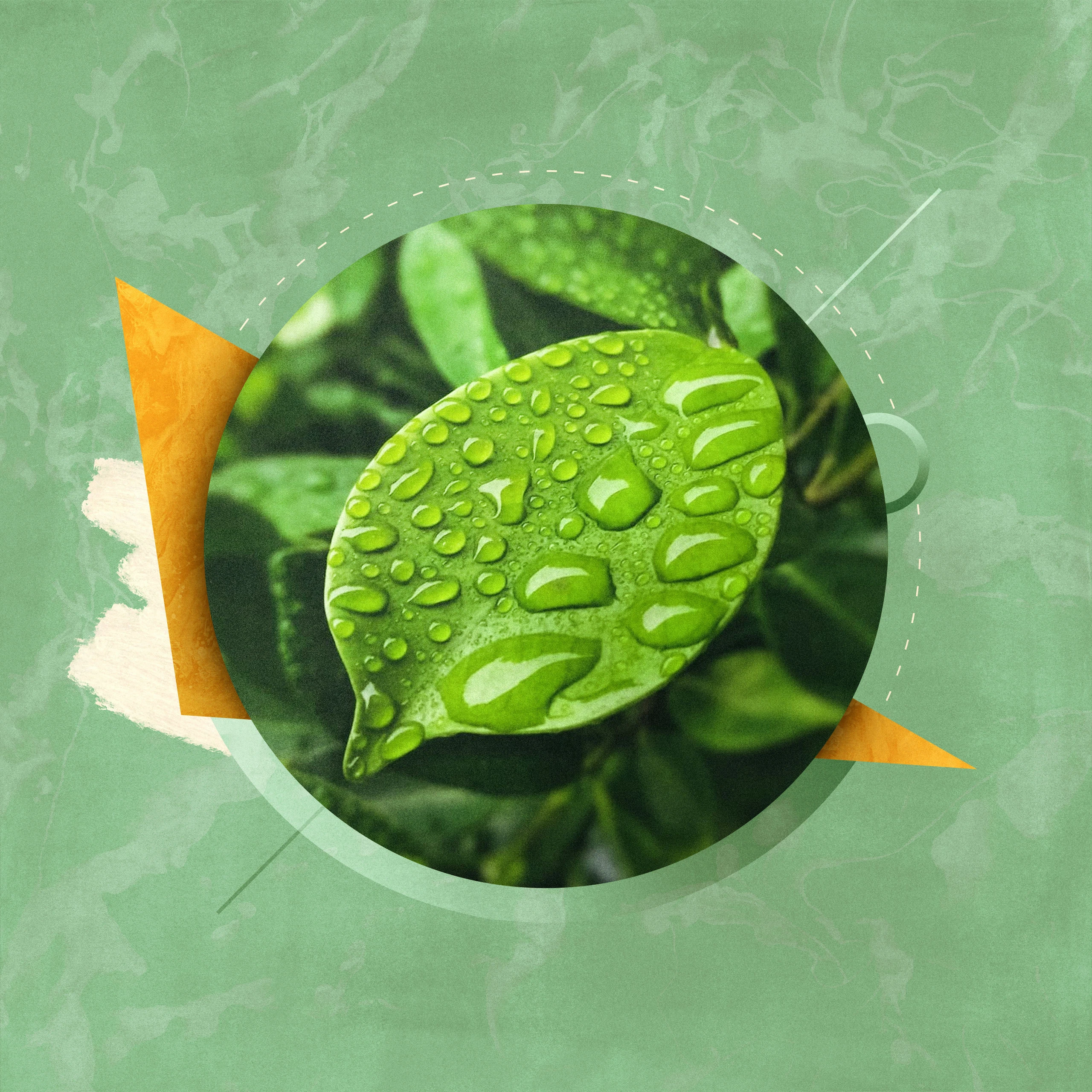 5 Things You Should Know About Assurance