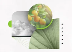 The Fruit of the Spirit